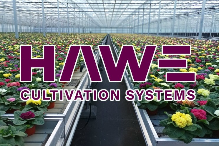 Nieuwe huisstijl Hawe Nieuwe huisstijl Hawe