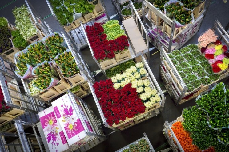Geen wildgroei aan duurzaamheidslabels meer Geen wildgroei aan duurzaamheidslabels meer