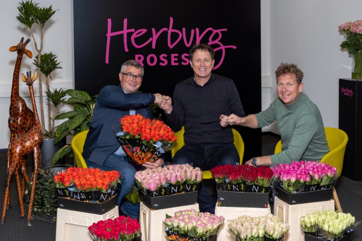 Dutch Flower Group stapt in Nini Herburg Roses Dutch Flower Group stapt in Nini Herburg Roses