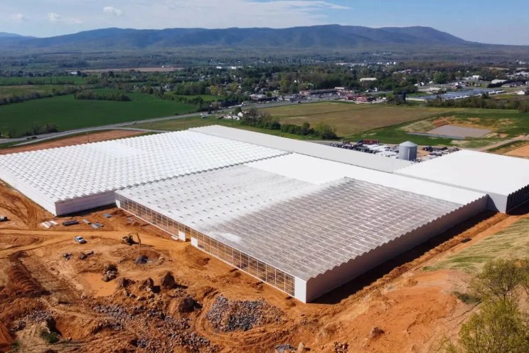 Nieuwe hightech kas voor The Plant Company Nieuwe hightech kas voor The Plant Company