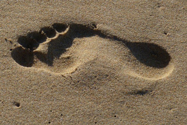 Selecta One start met berekenen CO2-footprint Selecta One start met berekenen CO2-footprint