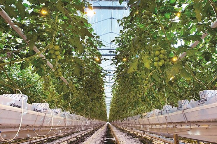 12 oktober: Water- en PlantgezondheidEvent 12 oktober: Water- en PlantgezondheidEvent