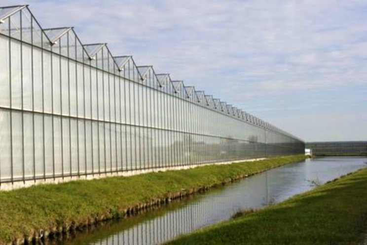 'Veel telers gaan wel bewust met water om' 'Veel telers gaan wel bewust met water om'
