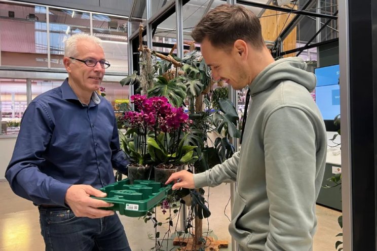 Ter Laak Orchids over Euro Plant Tray Ter Laak Orchids over Euro Plant Tray