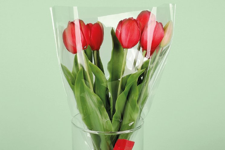 Paardekooper lanceert Recy Clear op IPM Paardekooper lanceert Recy Clear op IPM
