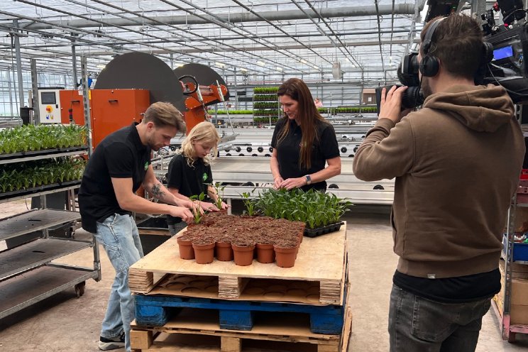 Anna en haar droombaan: plantenkweker