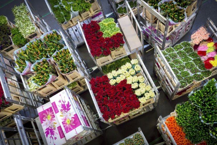 'Elke bloem verdient schoon fust' 'Elke bloem verdient schoon fust'