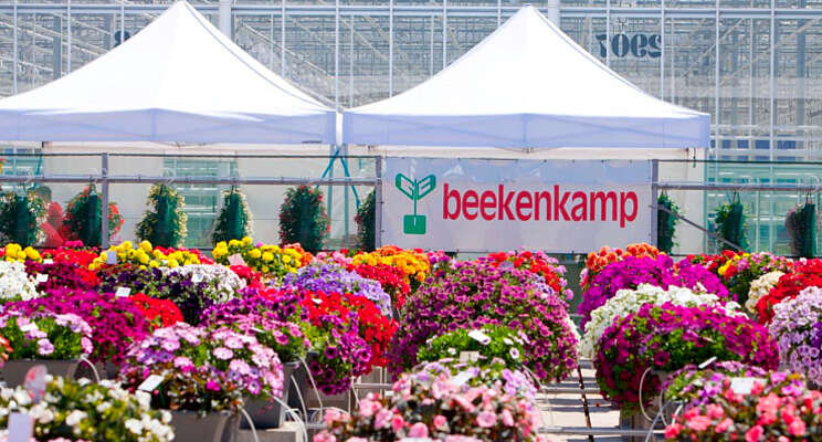 United Colours of Beekenkamp