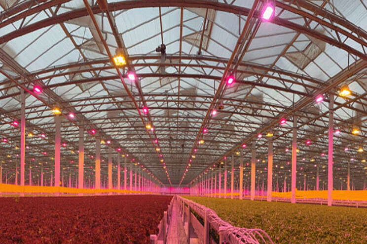 Little Leaf Farms kiest watergekoelde LED